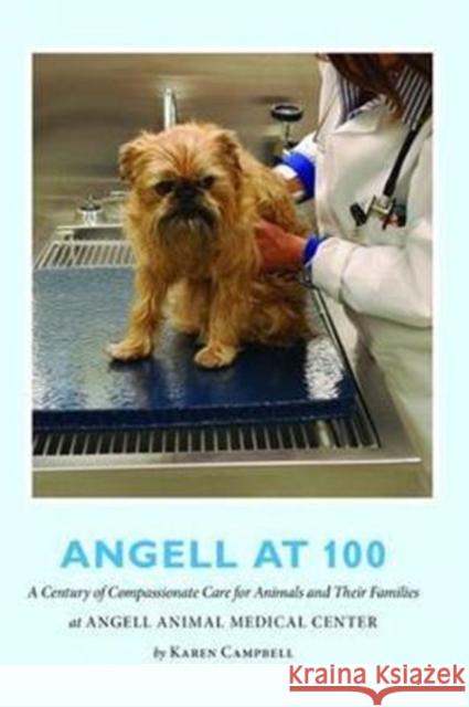 Angell at 100: A Century of Compassionate Care for Animals and Their Families at Angell Animal Medical Center Karen Campbell 9781138469945 Routledge - książka