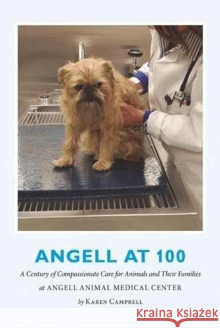 Angell at 100: A Century of Compassionate Care for Animals and Their Families at Angell Animal Medical Center Karen Campbell 9781942108047 Lamprey & Lee - książka