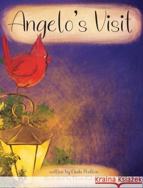 Angelo's Visit Cinda Pontious 9781633371651 Hitchcock Media Group LLC - książka