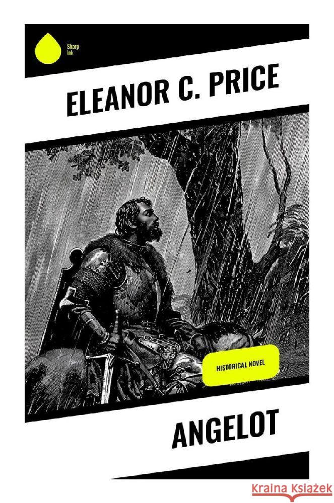 Angelot Price, Eleanor C. 9788028376390 Sharp Ink - książka