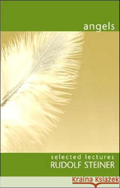 Angels Rudolf Steiner 9781855840607 Rudolf Steiner Press - książka