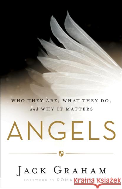 Angels – Who They Are, What They Do, and Why It Matters Roma Downey 9780764213564 Baker Publishing Group - książka