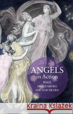 Angels in Action: What Swedenborg Saw and Heard Robert H. Kirven 9780877851479 Chrysalis Books - książka