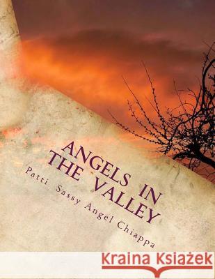 Angels In The Valley: A Devotional For Cancer Patients Chiappa, Patti Sassyangel 9781494854751 Createspace - książka