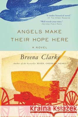Angels Make Their Hope Here Breena Clarke 9780316254014 Back Bay Books - książka