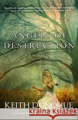 Angels of Destruction Keith Donohue 9780307450265 Three Rivers Press (CA) - książka