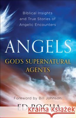 AngelsGod′s Supernatural Agents E Rocha 9780800798154 Baker Publishing Group - książka