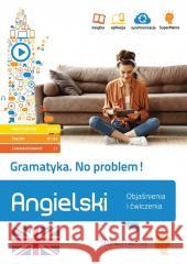 Angielski No problem! Gramatyka A1-C1 Henryk Krzyżanowski 9788379842186 SuperMemo World - książka