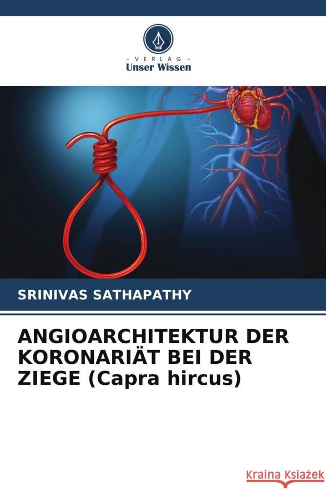 ANGIOARCHITEKTUR DER KORONARI?T BEI DER ZIEGE (Capra hircus) Srinivas Sathapathy 9786207280759 Verlag Unser Wissen - książka