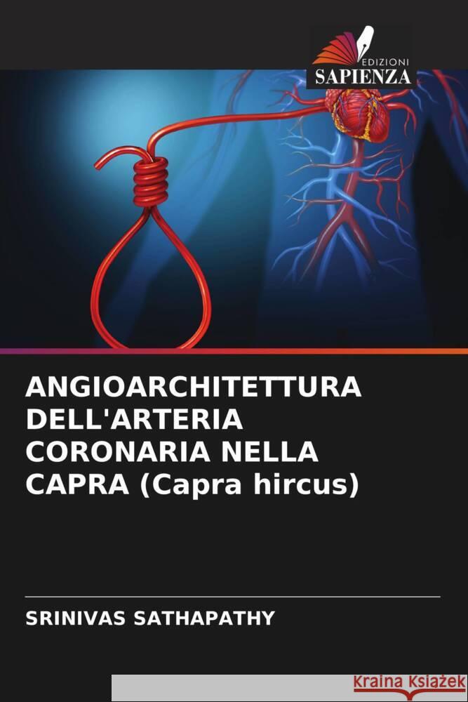 ANGIOARCHITETTURA DELL'ARTERIA CORONARIA NELLA CAPRA (Capra hircus) Srinivas Sathapathy 9786207280773 Edizioni Sapienza - książka