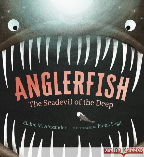 Anglerfish: The Seadevil of the Deep Elaine M. Alexander Fiona Fogg  9781529505986 Walker Books Ltd - książka