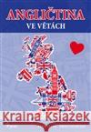 Angličtina ve větách Zdeněk Vacek 9788073535667 Pierot