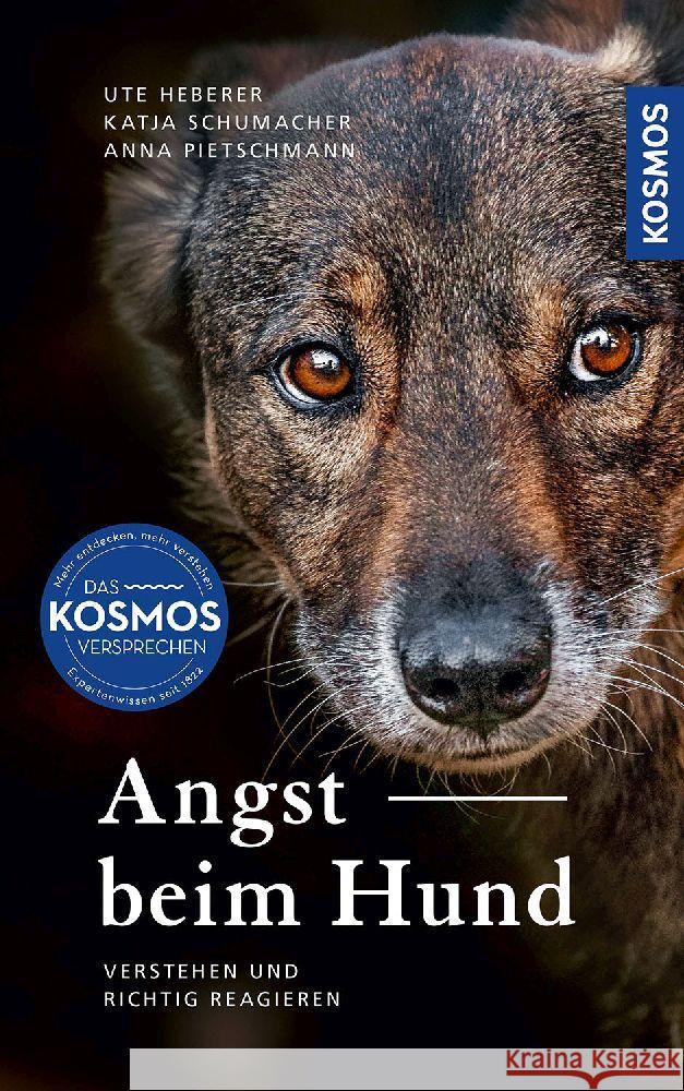 Angst beim Hund Heberer, Ute, Schumacher, Katja, Pietschmann, Anna 9783440163009 Kosmos (Franckh-Kosmos) - książka