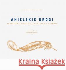 Anielskie drogi. Prawdziwe historie o gościach... Joan Wester Anderson, Aleksandra Czyżewska-Felczak 9788327738912 WAM - książka