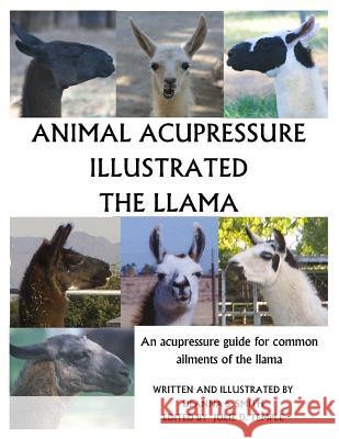 Animal Acupressure Illustrated The Llama Smith, Deanna S. 9781494833879 Createspace - książka