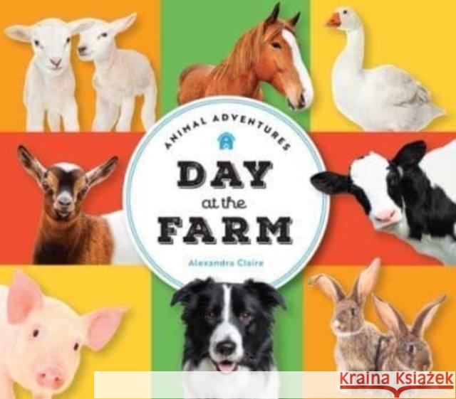 Animal Adventures: Day at the Farm Alexandra Claire 9781685557454 The Collective Book Studio - książka