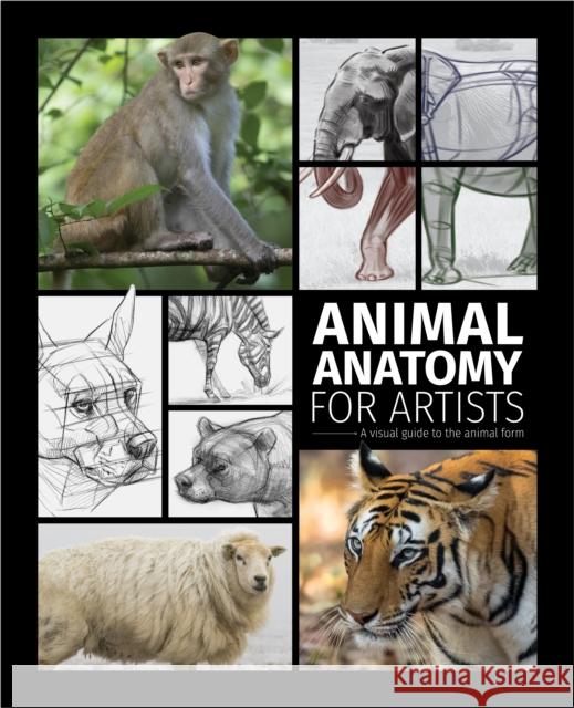Animal Anatomy for Artists: A visual guide to the animal form  9781915992000 3DTotal Publishing Ltd - książka