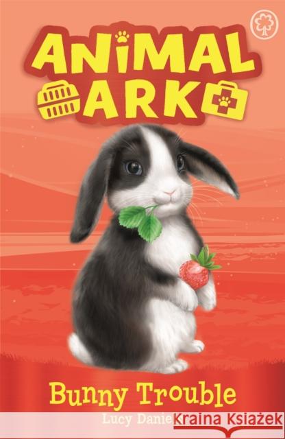 Animal Ark, New 2: Bunny Trouble: Book 2 Lucy Daniels 9781408354162 Hachette Children's Group - książka