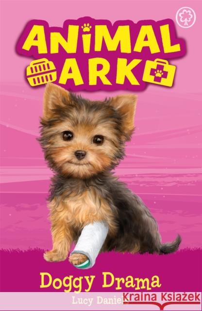 Animal Ark, New 5: Doggy Drama: Book 5 Lucy Daniels 9781408354063 Hachette Children's Group - książka