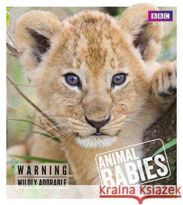 Animal Babies Laura Barwick 9781785941009 Ebury Press - książka