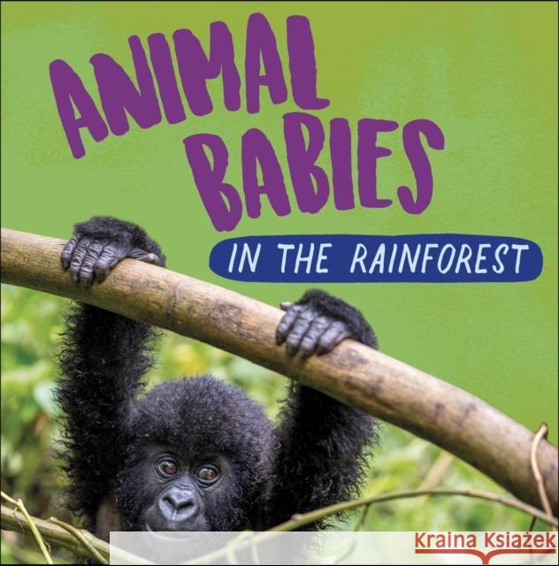 Animal Babies: In the Rainforest Sarah Ridley 9781526314543 Hachette Children's Group - książka