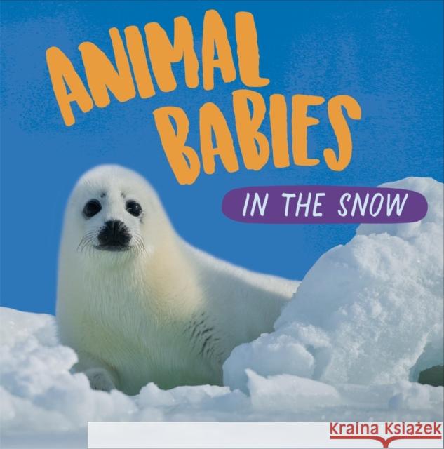 Animal Babies: In the Snow Sarah Ridley 9781526314437 Hachette Children's Group - książka