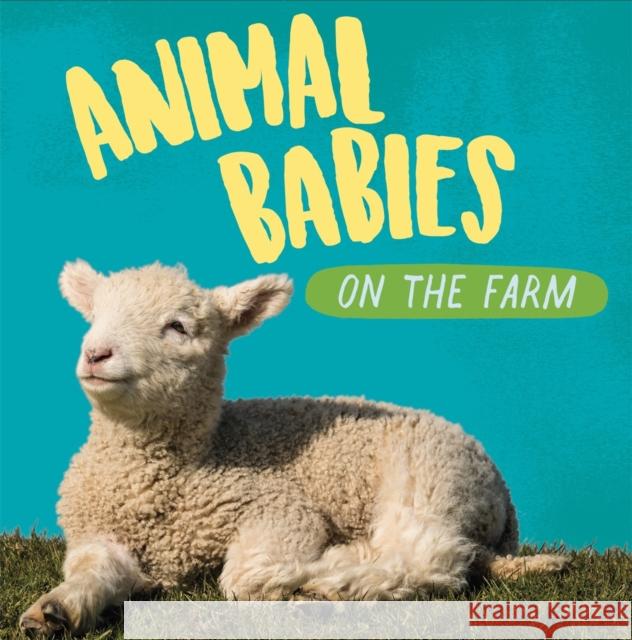 Animal Babies: On the Farm Sarah Ridley 9781526314505 Hachette Children's Group - książka