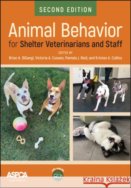 Animal Behavior for Shelter Veterinarians and Staff  9781119618478 John Wiley and Sons Ltd - książka