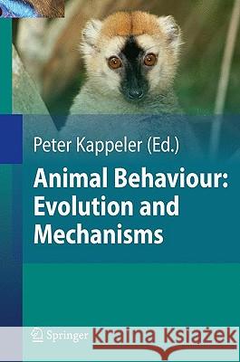 Animal Behaviour: Evolution and Mechanisms Nils Anthes 9783642026232  - książka