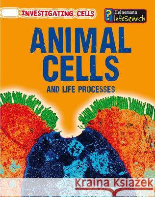 Animal Cells and Life Processes Barbara Ann Somervill 9781432938772 Heinemann Educational Books - książka