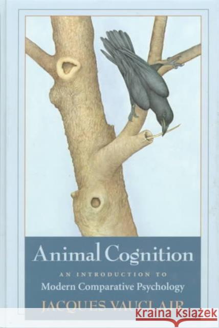 Animal Cognition: An Introduction to Modern Comparative Psychology Vauclair, Jacques 9780674037038 Harvard University Press - książka