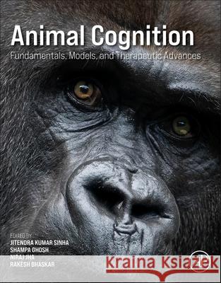 Animal Cognition: Fundamentals, Models, and Therapeutic Advances Shampa Ghosh Jitendra Kumar Sinha Niraj Kumar Jha 9780443451249 Academic Press - książka