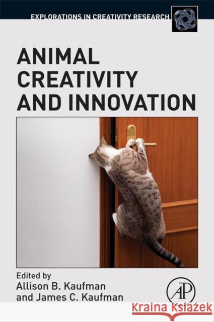 Animal Creativity and Innovation Kaufman, Allison B. Kaufman, James C.  9780128006481 Elsevier Science - książka