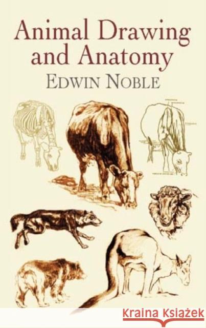 Animal Drawing and Anatomy Edwin Noble 9780486423128 Dover Publications - książka