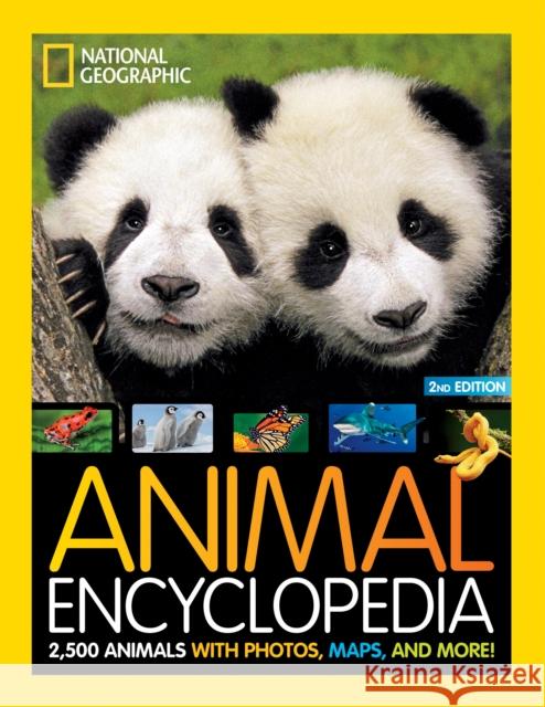 Animal Encyclopedia: 2,500 Animals with Photos, Maps, and More! National                                 National 9781426372308 National Geographic Kids - książka