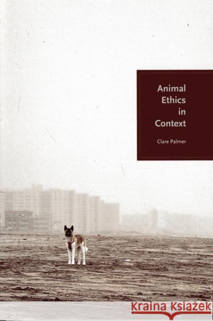 Animal Ethics in Context Clare Palmer 9780231129053 Columbia University Press - książka