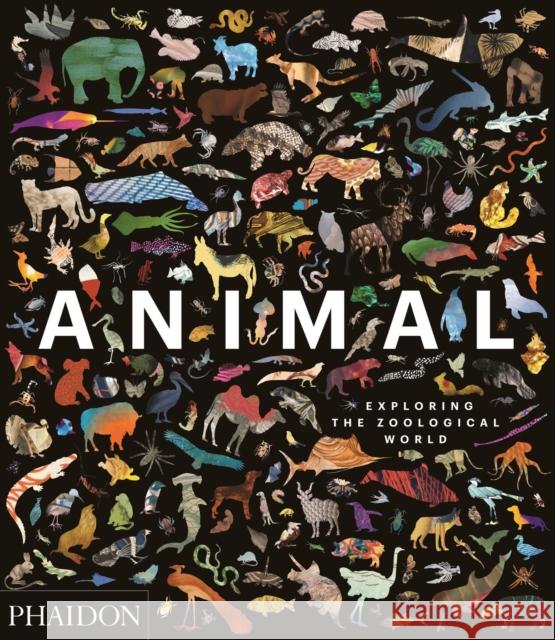 Animal: Exploring the Zoological World Phaidon Press 9780714876818 Phaidon Press Ltd - książka