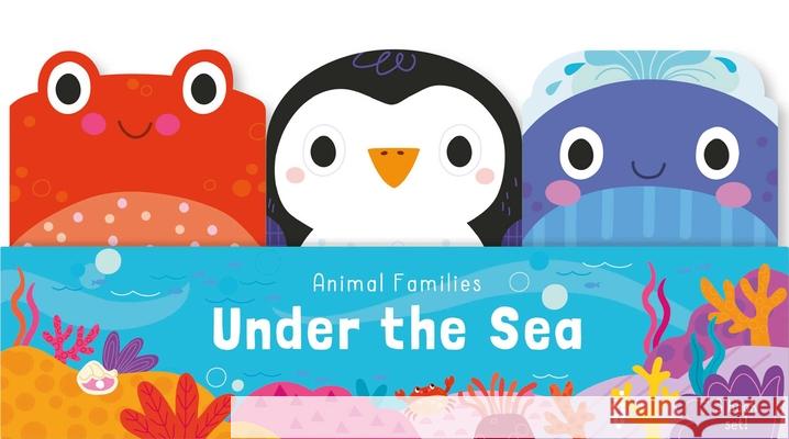 Animal Families: Under the Sea Samantha Meredith 9781667201061 Silver Dolphin Books - książka