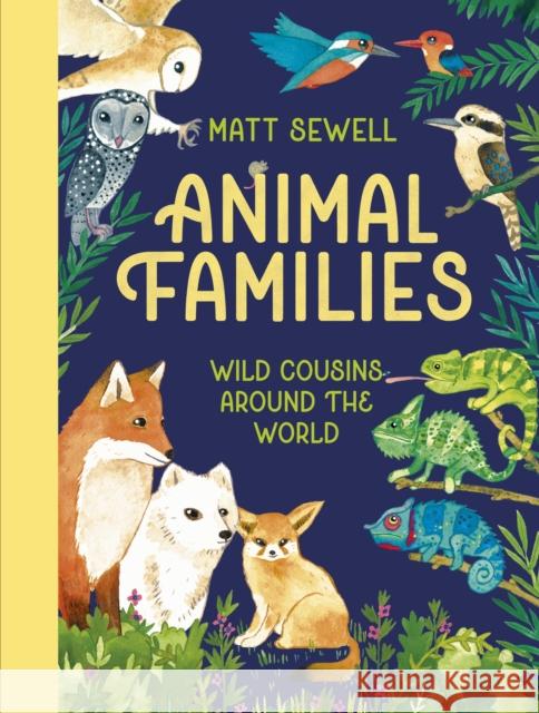 Animal Families: Wild cousins around the world Matt Sewell 9781444977066 Hachette Children's Group - książka