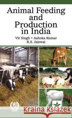 Animal Feeding and Production in india Singh, Vir &. Kumar Ashoka &. Jaiswal R. 9788170359463 Daya Pub. House - książka