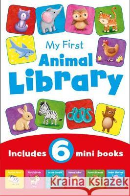 Animal First Words  9781785573705 Bonnier Books Ltd - książka