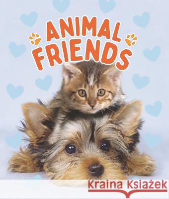 Animal Friends Camilla D 9780711281950 Quarto Publishing Group USA - książka