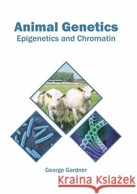 Animal Genetics: Epigenetics and Chromatin George Gardner 9781682867822 Syrawood Publishing House - książka