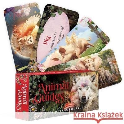 Animal Guides Jena DellaGrottaglia 9781923208551 Rockpool Publishing - książka