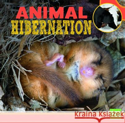 Animal Hibernation Jeanie Mebane 9781429693103 Capstone Press - książka