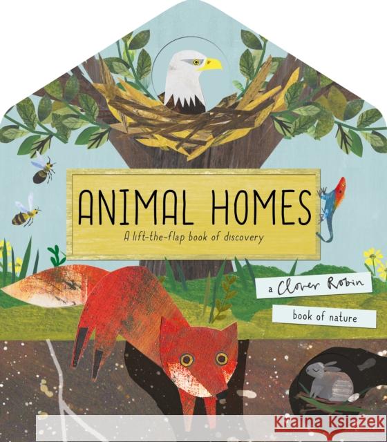 Animal Homes: A lift-the-flap book of discovery Libby Walden Clover Robin  9781848578418 Little Tiger Press Group - książka
