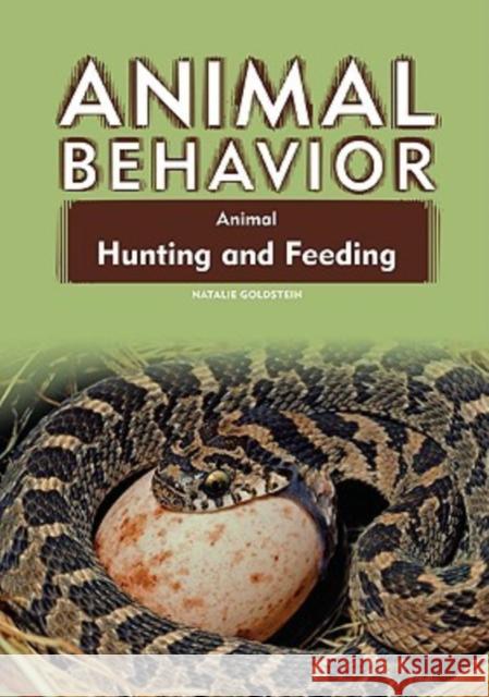 Animal Hunting and Feeding Natalie Goldstein                        Natalie Goldstein 9781604131437 Chelsea House Publishers - książka