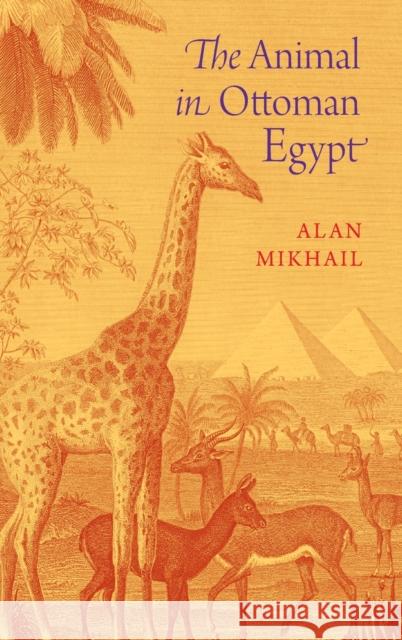 Animal in Ottoman Egypt Mikhail, Alan 9780199315277 Oxford University Press, USA - książka