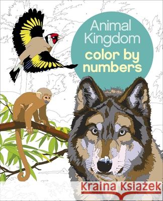 Animal Kingdom Color by Numbers Martin Sanders 9781839407338 Arcturus Publishing - książka