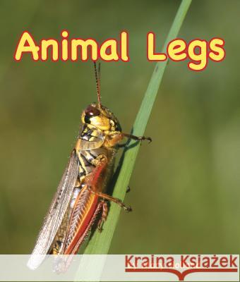 Animal Legs Mary Holland 9781628558432 Arbodale Publishing, LLC - książka